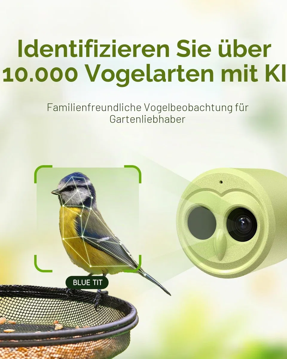 Hibird 4K HD Smart Bird Feeder Kamera, solarbetrieben, 2.4G/5G Dual WiFi, 6X Zeitlupenvideo, KI identifiziert 10.000+ Arten