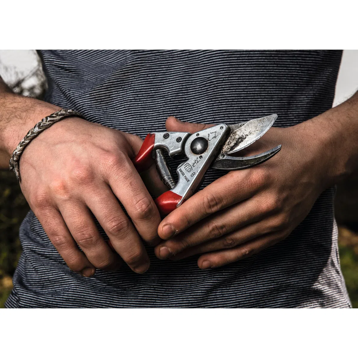 FELCO Set mit Gartenschere FELCO 8 und Klappsäge 601, Essentielle Werkzeuge für präzise Gartenarbeit und Rebschnitt