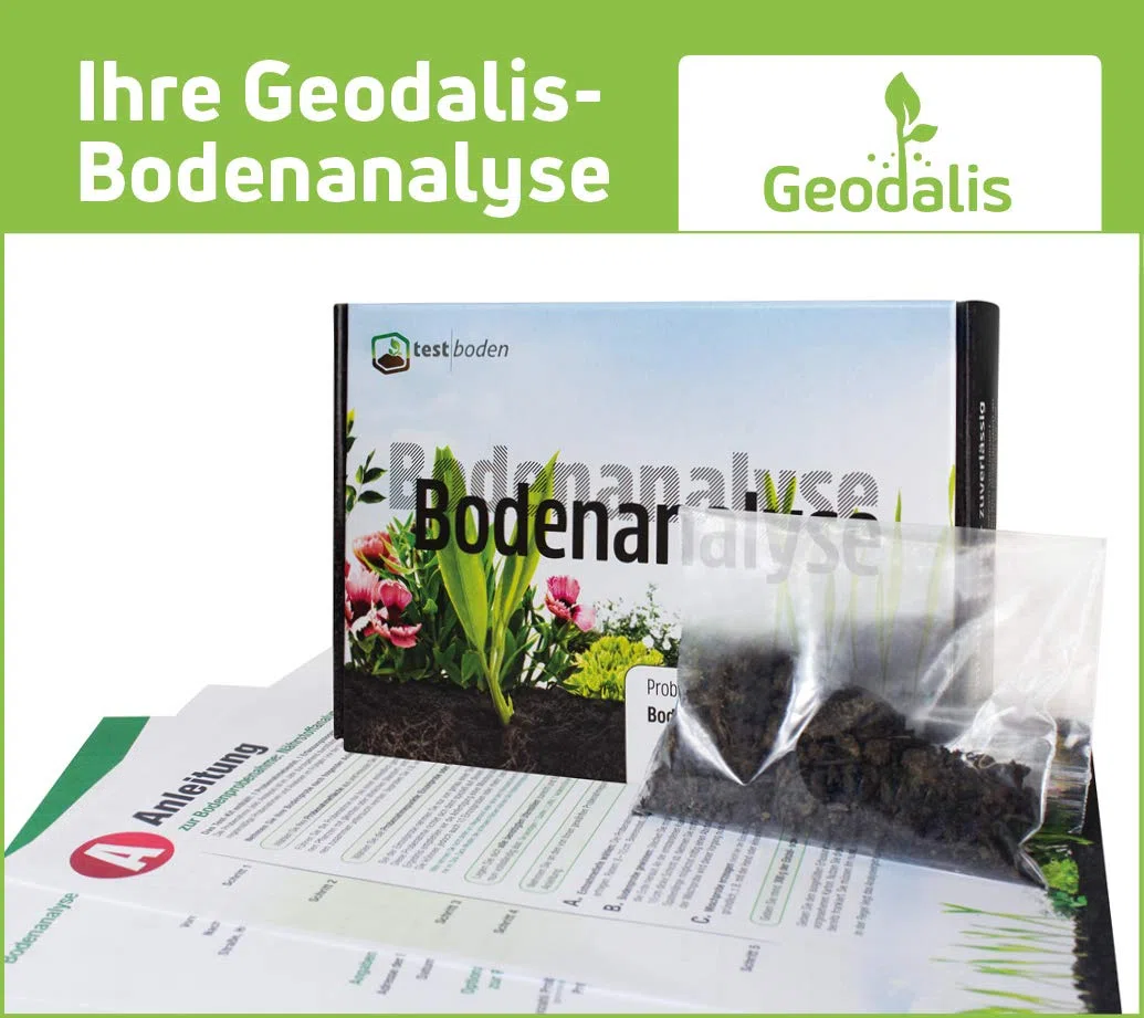 Bodentest auf Bodennährstoffe, Mineralstoffe, Spurenelemente | inkl. Bodenanalyse im Labor