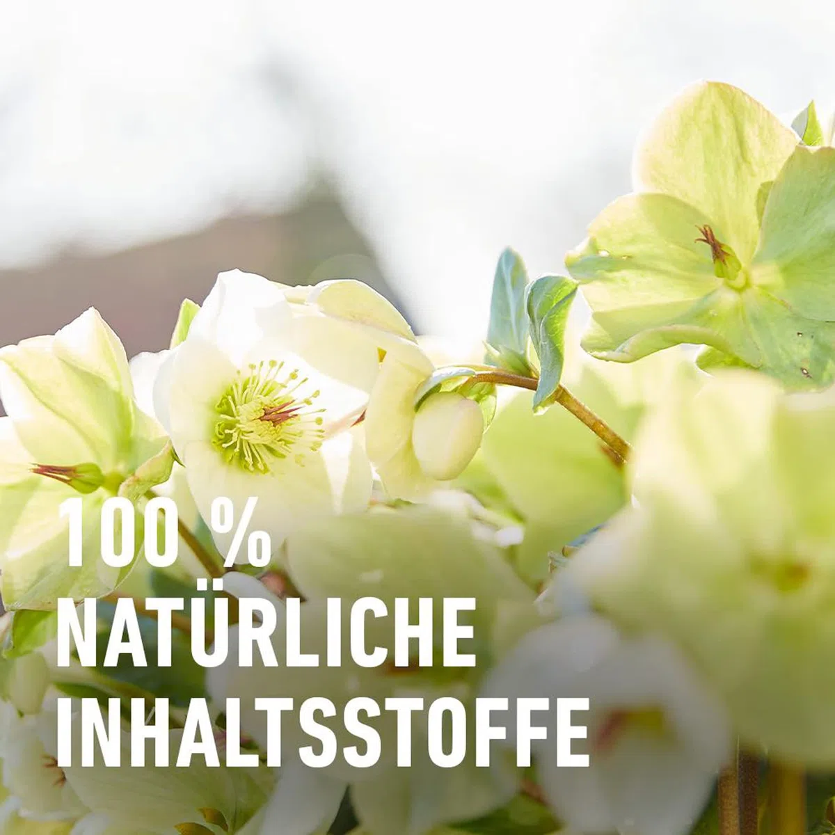 Compo Bio Blumendünger 1,3l