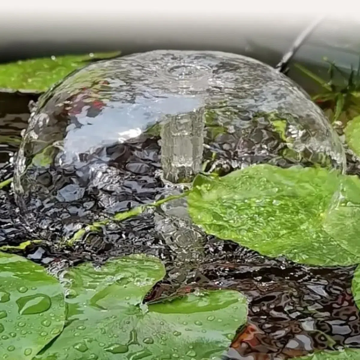 4er Set für MINI Pilz Springbrunnen Düse aus Harz, Transparente Wasserfontäne Sprühkopf für Teich Garten Aquarium, Kompakte für DEKO für Bonsai Landschaften und Fischbecken, Leise
