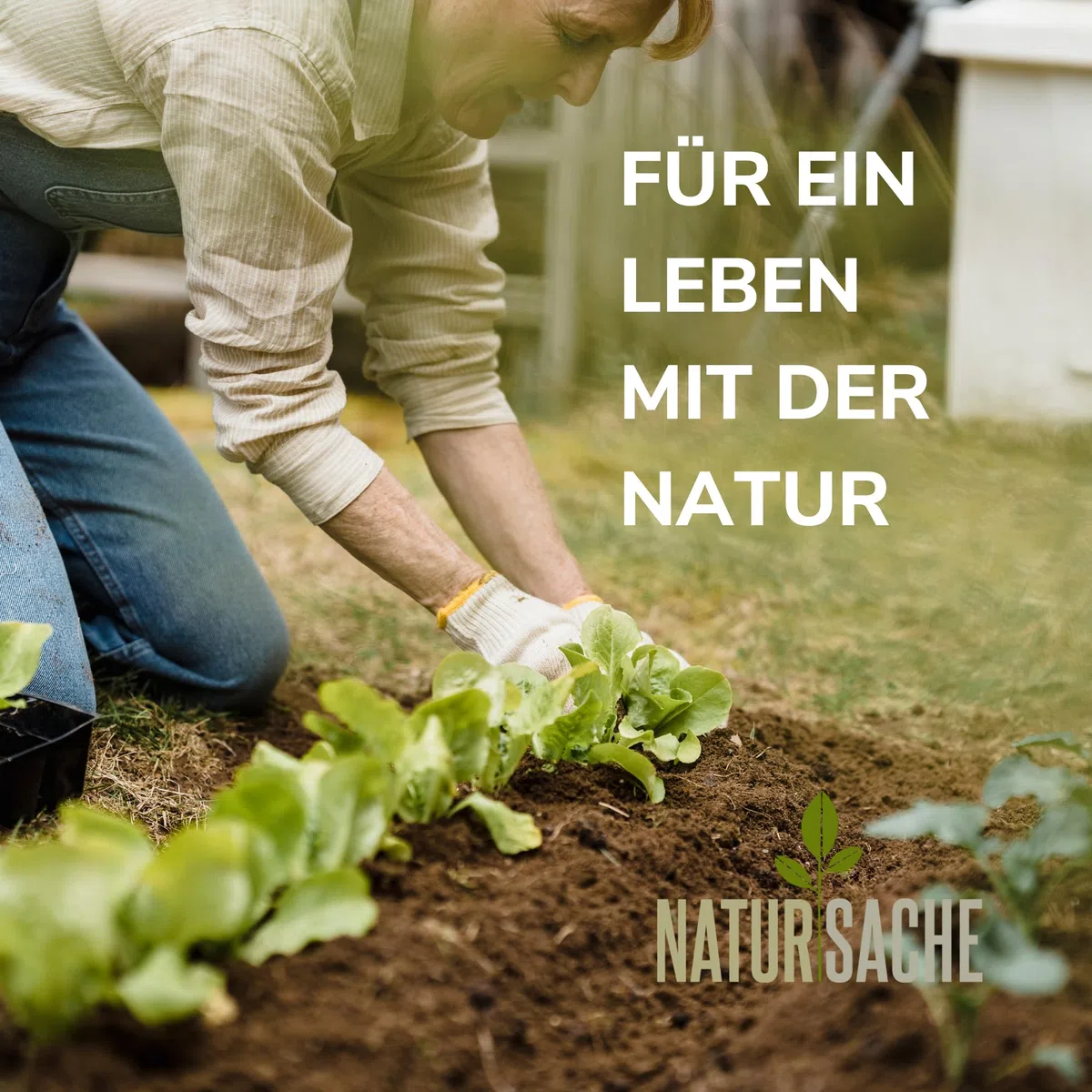 Natursache Wurmkomposter kaufen, Klein & Indoor, Wurmkiste für Balkon & Garten, Starterset + Zubehör (Mit Würmer + Zusatzetage, Grün)