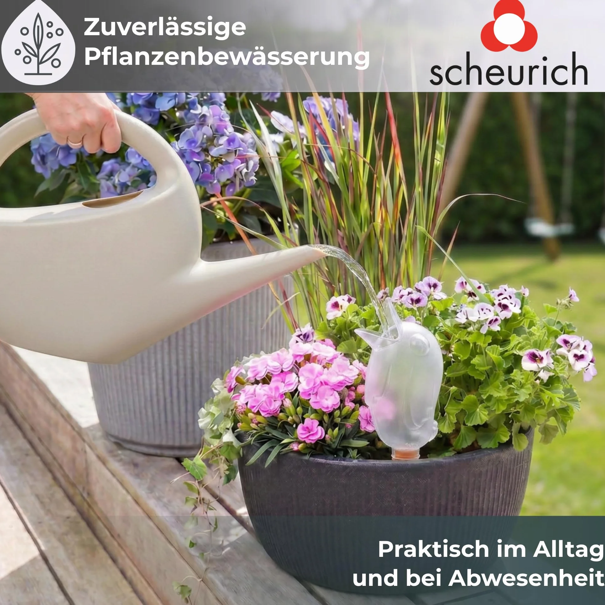 Scheurich Wasserspender Bördy M | 8 x Klar | 220ml Füllmenge | Bewässerungskugeln klein mit Ton Fuß | Wasserspender Pflanzen und Blumen Terrakotta Stiel