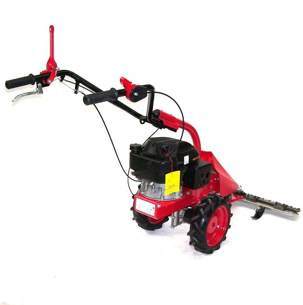 2 in 1 Benzin Balkenmäher 870mm + Schneeschild AWZ