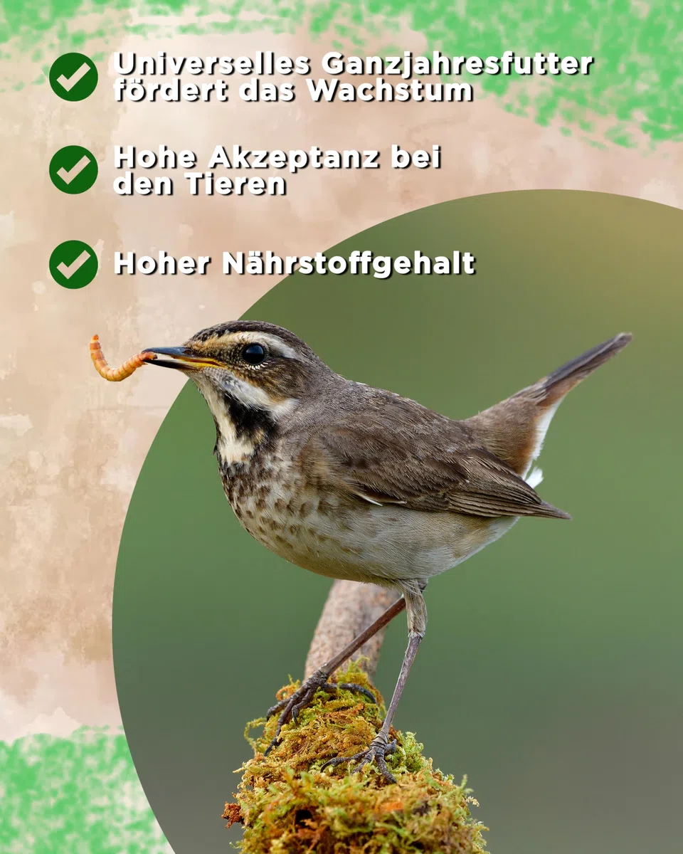 5 kg Getrocknete Mehlwürmer Futterbauer– 100% Naturfutter für Wildvögel, Fische & Igel | Proteinreiches Premiumfutter ohne Zusätze | Ideal als Vogelfutter, Fischfutter & Igelfutter