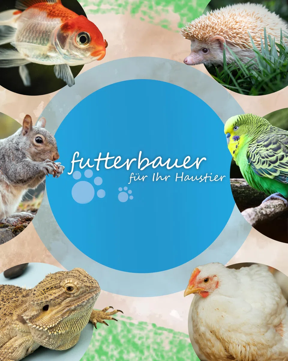 5 kg Getrocknete Mehlwürmer Futterbauer– 100% Naturfutter für Wildvögel, Fische & Igel | Proteinreiches Premiumfutter ohne Zusätze | Ideal als Vogelfutter, Fischfutter & Igelfutter