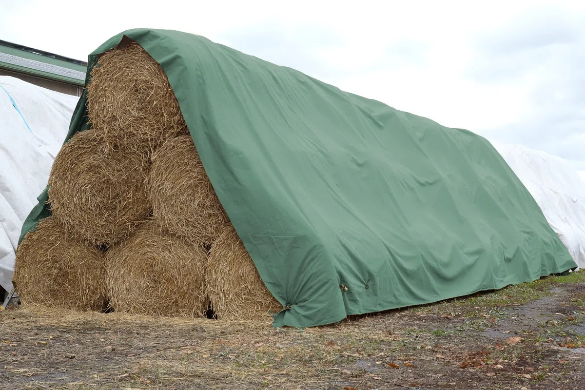 Böck TOPvlies Strohvlies 10,4 x 12,50 m I Stabiles 140 g/m² Schutzvlies I Extrem reißfestes Heuvlies für langfristigen Schutz I Abdeckvlies wetterfest & UV-beständig