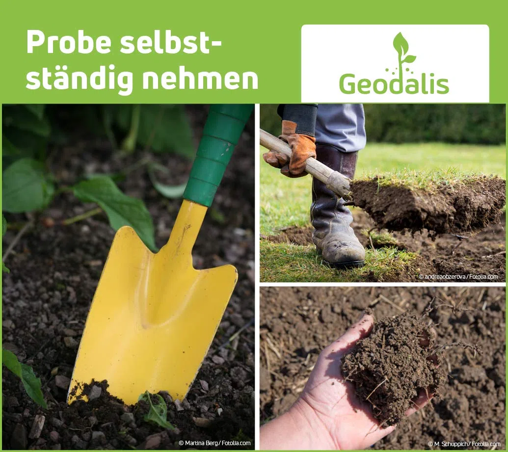 Bodentest auf Bodennährstoffe, Mineralstoffe, Spurenelemente | inkl. Bodenanalyse im Labor