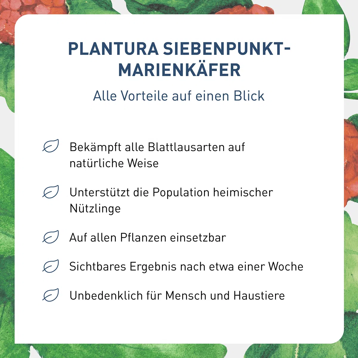 Plantura Siebenpunkt-Marienkäfer gegen Blattläuse, wirksam & nachhaltig, 10 Nützlinge
