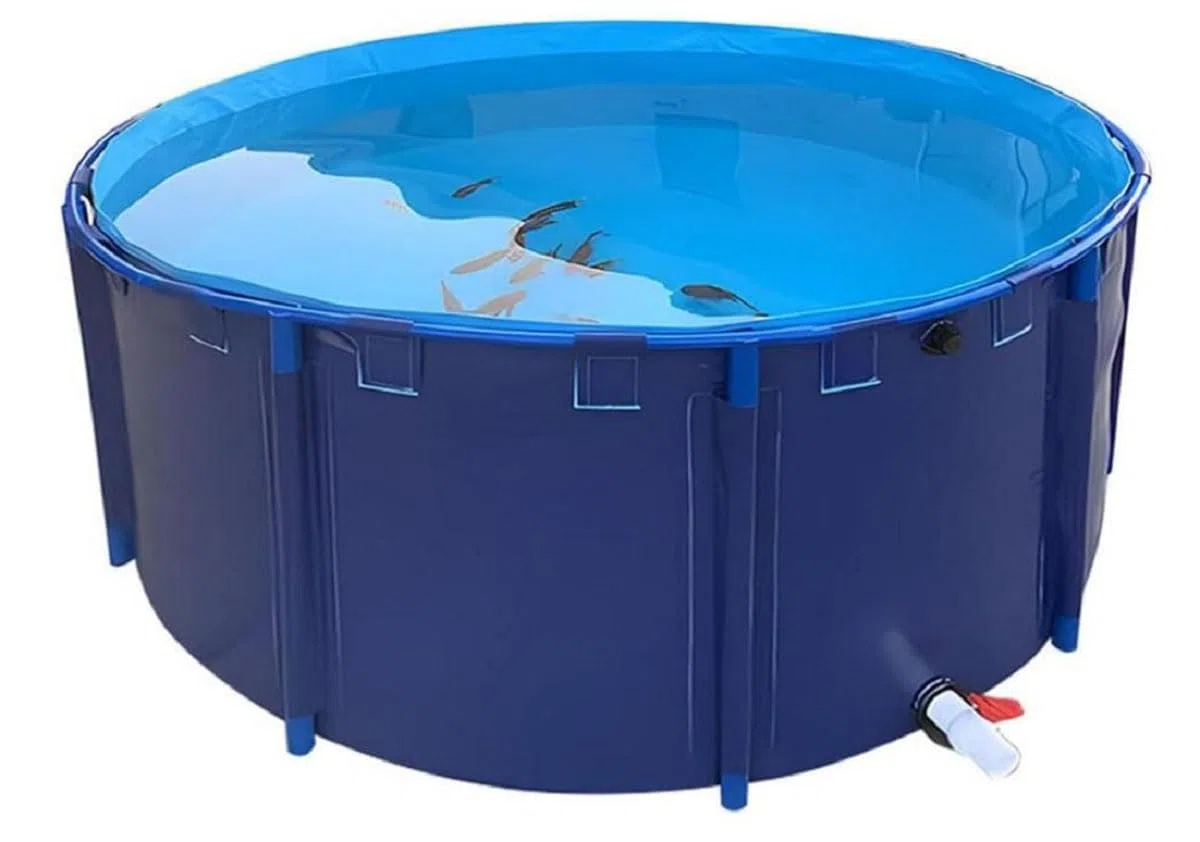 Segeltuch-Fischteich-Pool, rund, verdickter Pool, PVC-Fischteich, oberirdischer Pool mit Rahmen, zur Aufbewahrung von Wasserbewässerung, Wasserprodukten, Zuchtteich, 1,5 x 0,8 m, Gürtelrahmen