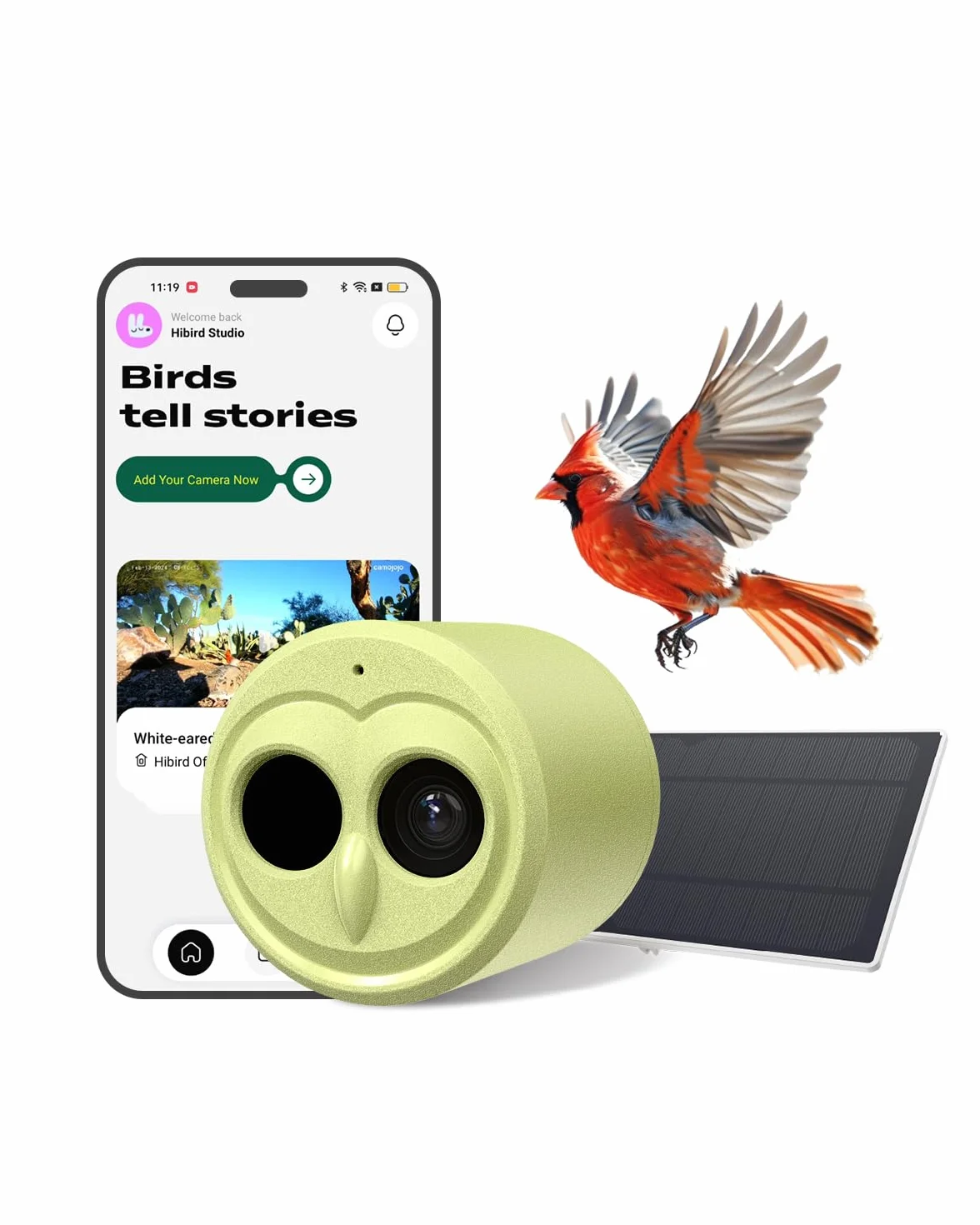 Hibird 4K HD Smart Bird Feeder Kamera, solarbetrieben, 2.4G/5G Dual WiFi, 6X Zeitlupenvideo, KI identifiziert 10.000+ Arten