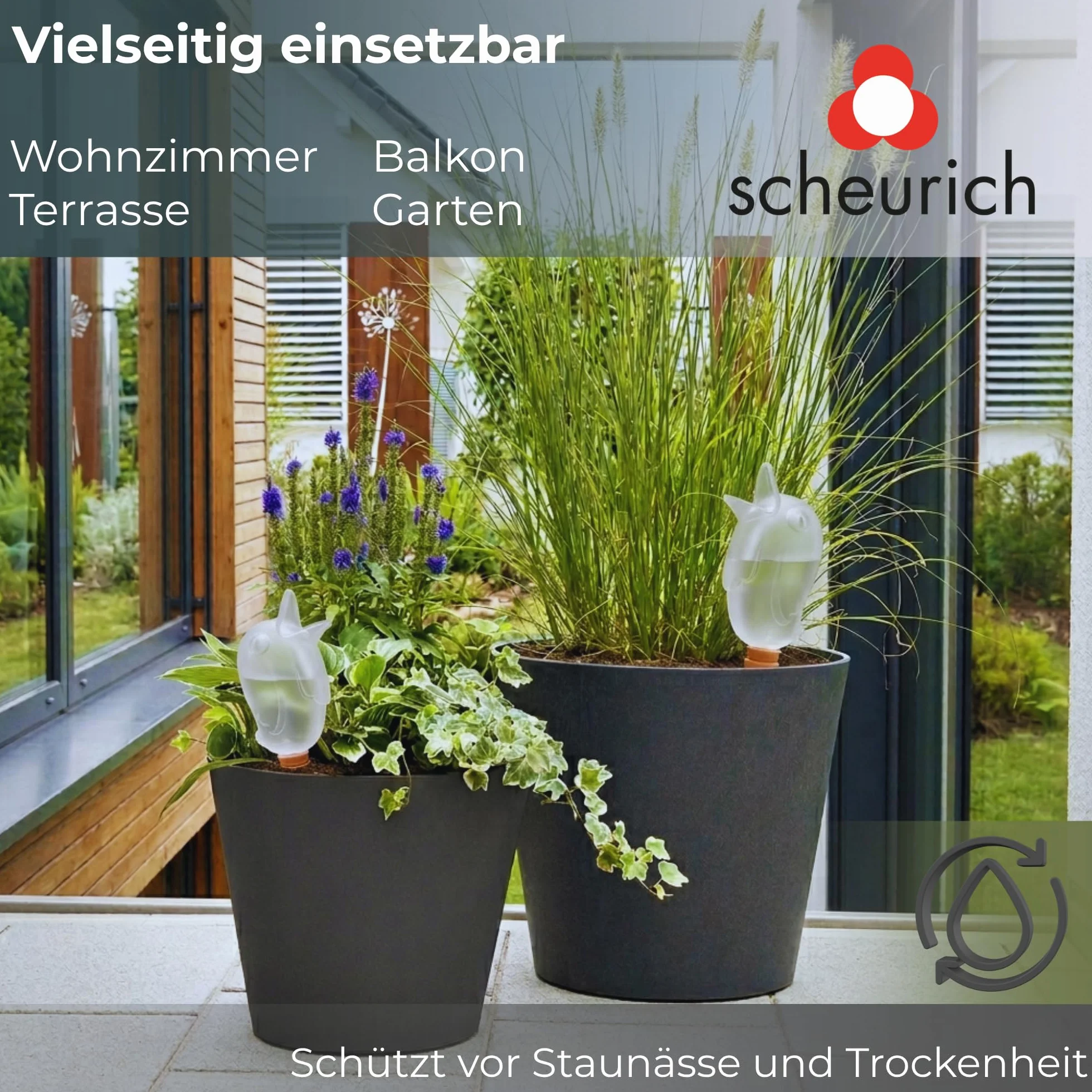 Scheurich Wasserspender Bördy M | 8 x Klar | 220ml Füllmenge | Bewässerungskugeln klein mit Ton Fuß | Wasserspender Pflanzen und Blumen Terrakotta Stiel