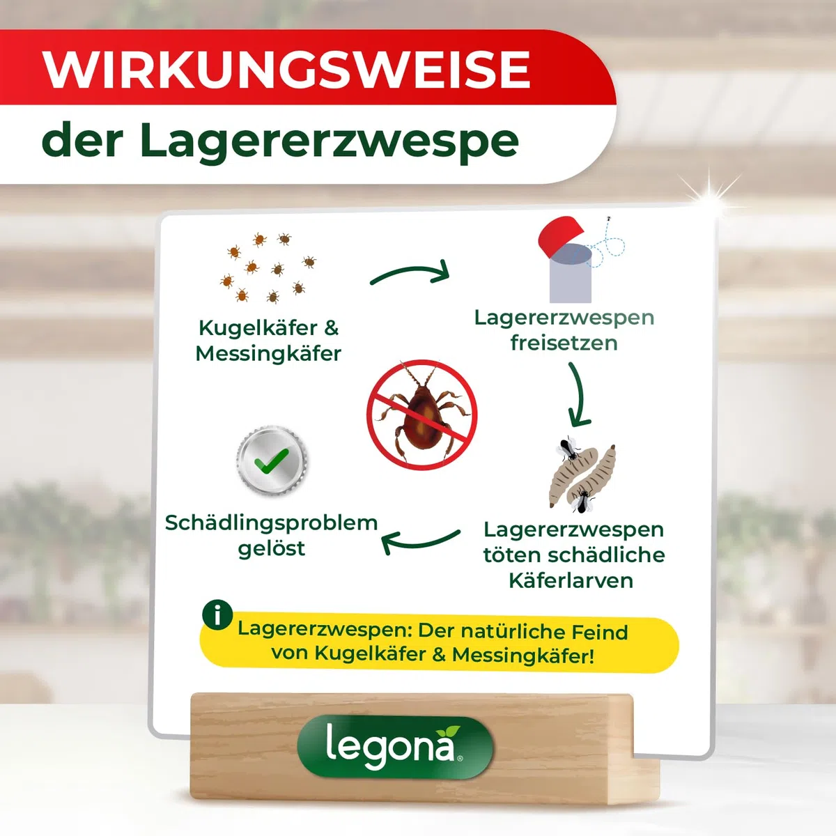 Legona Lagererzwespen gegen Kugelkäfer und Messingkäfer 1 Röhrchen (10m²) - Materialschutz für Wohnung, Vorrat und Lager