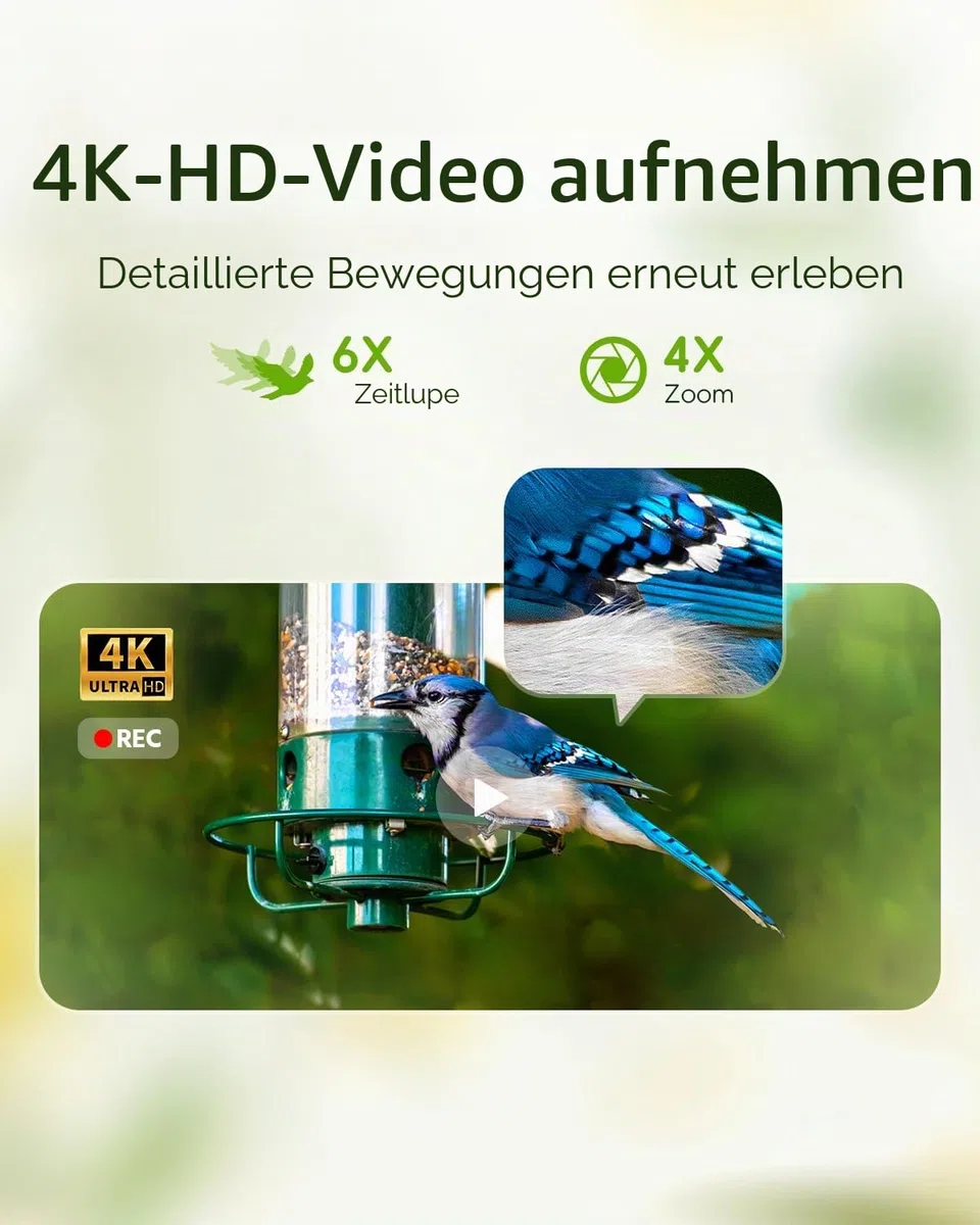 Hibird 4K HD Smart Bird Feeder Kamera, solarbetrieben, 2.4G/5G Dual WiFi, 6X Zeitlupenvideo, KI identifiziert 10.000+ Arten