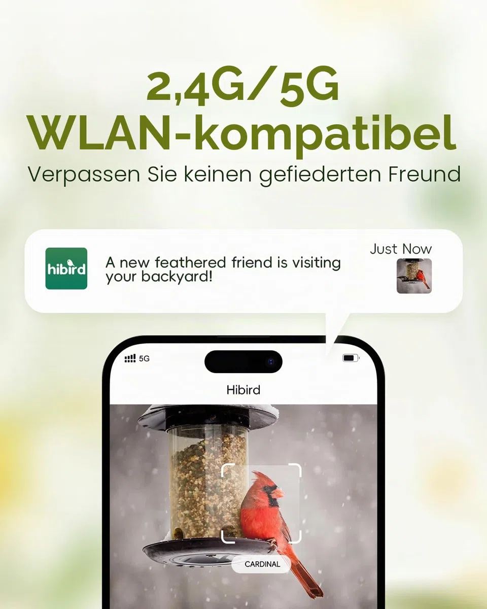 Hibird 4K HD Smart Bird Feeder Kamera, solarbetrieben, 2.4G/5G Dual WiFi, 6X Zeitlupenvideo, KI identifiziert 10.000+ Arten